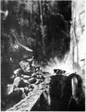 Карина 11.